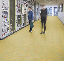 Forbo Marmoleum Decibel on Order 341335 green melody фото 2 | FLOORDEALER